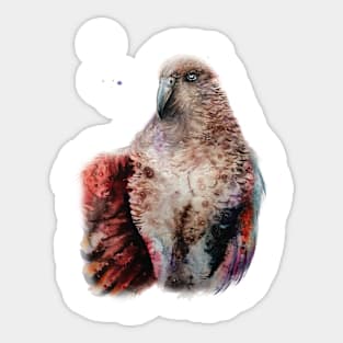 Kea Alpine Parrot Sticker